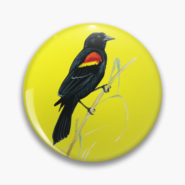 Item preview, Red-winged Blackbird designed and sold by IsaiahEScott.