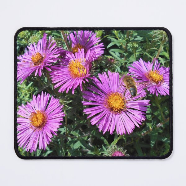 Item preview, Purple Erigeron Flowers designed and sold by Floral-Art.