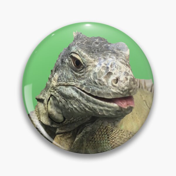 Item preview, Greenbean the Green Iguana designed and sold by SUU Animal Ambassadors.
