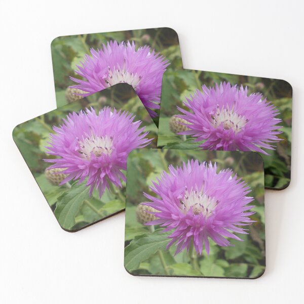 Item preview, Persian Cornflower designed and sold by Floral-Art.