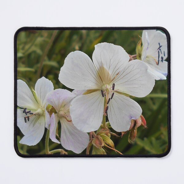 Item preview, Hardy Geranium designed and sold by Floral-Art.