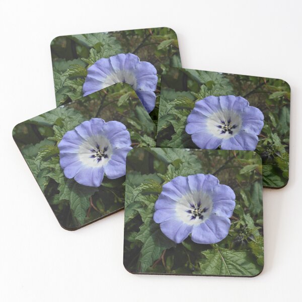 Item preview, Nicandra physalodes Flower designed and sold by Floral-Art.