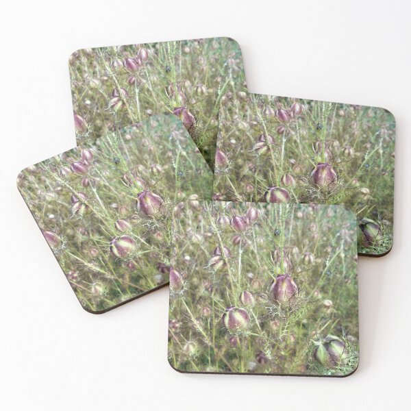 Item preview, Nigella Seed Heads designed and sold by Floral-Art.
