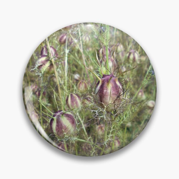 Item preview, Nigella Seed Heads designed and sold by Floral-Art.