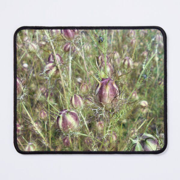 Item preview, Nigella Seed Heads designed and sold by Floral-Art.