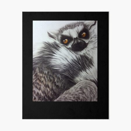 Lemur Lámina rígida