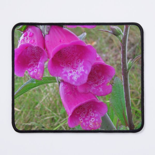 Item preview, Foxglove (Digitalis) designed and sold by RedHillDigital.
