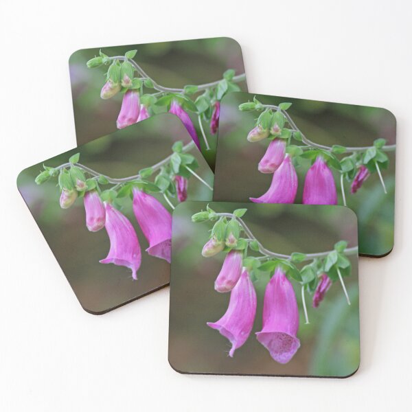 Item preview, Foxglove, August 2022 designed and sold by RedHillDigital.