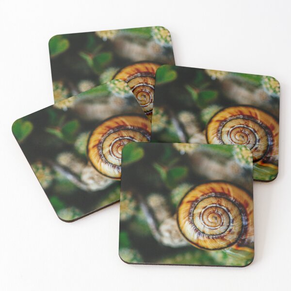 Artikelvorschau, Schnecke im Kaktusgarten entworfen und verkauft von KGPhotoArt.