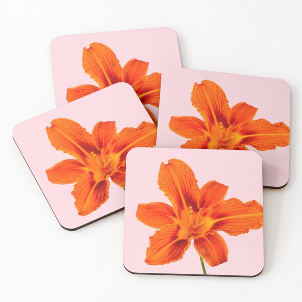 Artikelvorschau, Tawny Daylily entworfen und verkauft von Stephen Frost.