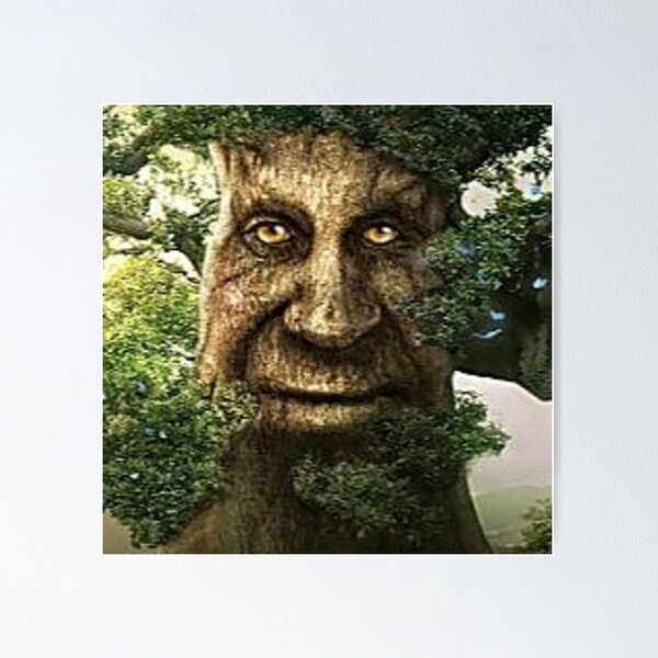 Wise Old Mystical Oak Tree Face Meme Explained, Origin And Meaning