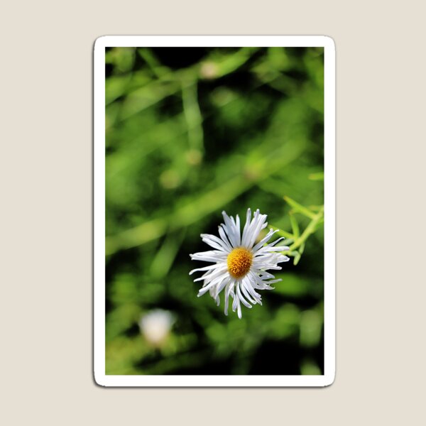 Artikelvorschau, Kleine Blume entworfen und verkauft von MortonDesigns.