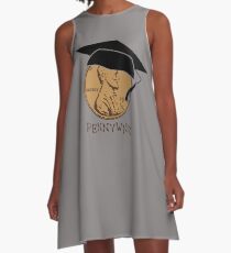 pennywise A-Line Dress