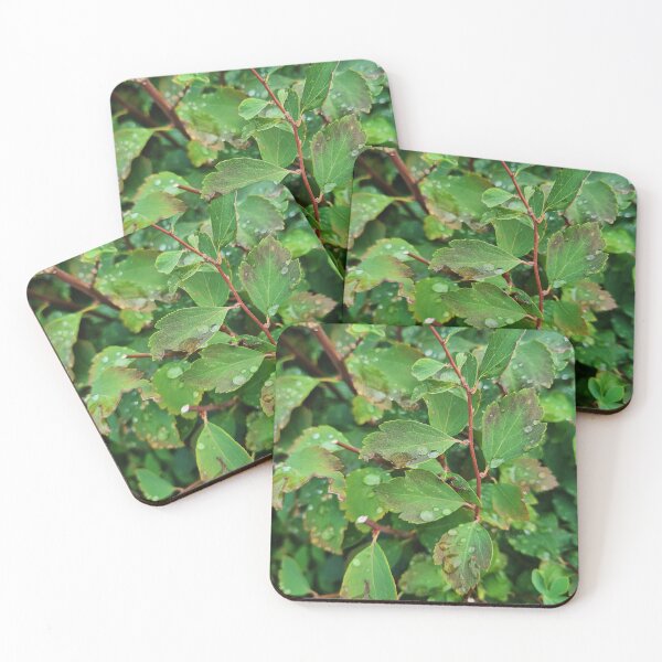 Item preview, drops on leaves designed and sold by nataliespics.