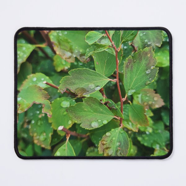 Item preview, drops on leaves designed and sold by nataliespics.