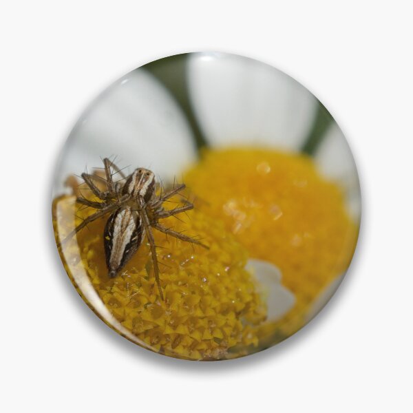 Item preview, Tiny Spider designed and sold by D-GaP.