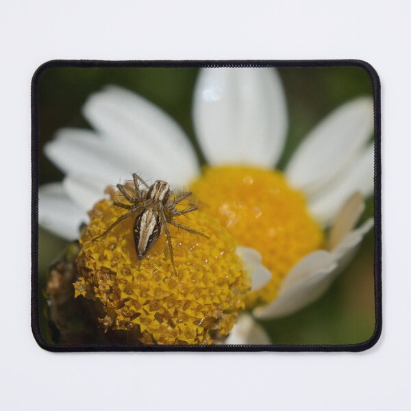 Item preview, Tiny Spider designed and sold by D-GaP.