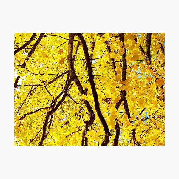 Item preview, Fall Branches, Golden Yellow designed and sold by Marymarice.