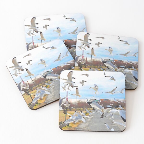 Item preview, Got lucky with the gulls! designed and sold by rickbrodey.