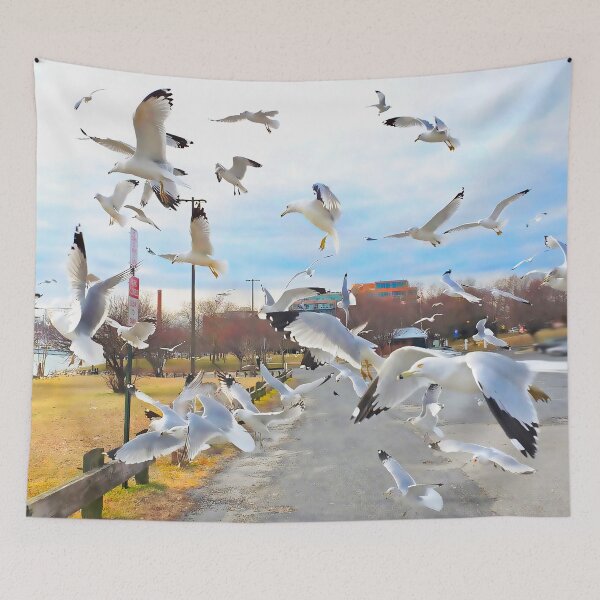 Item preview, Got lucky with the gulls! designed and sold by rickbrodey.