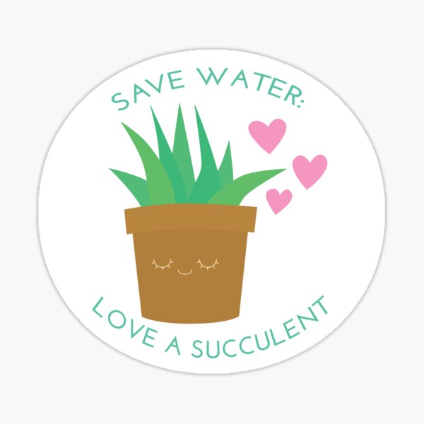 Save Water: Love a Suculent Sticker