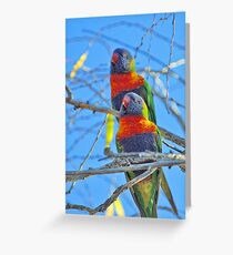 Rainbow Lorikeets Greeting Card