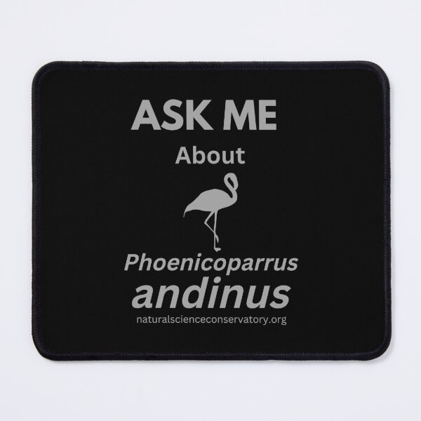 Item preview, Ask Me About Phoenicoparrus andinus (Andean Flamingo) designed and sold by Discovered.