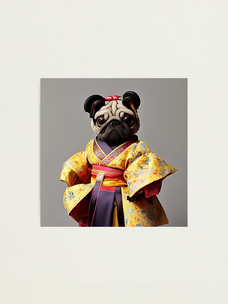 Cute Pug Dog Dressed Asian Clothes Photographic Print for Sale by ONORMAL Redbubble