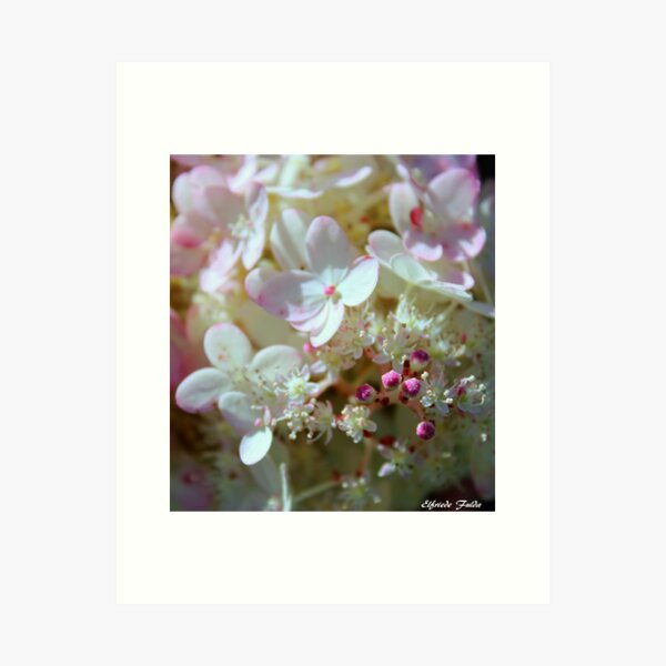 Item preview, Blooms ! designed and sold by Elfriede Fulda.