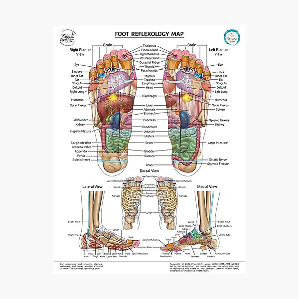 Foot Feet Gifts & Merchandise for Sale