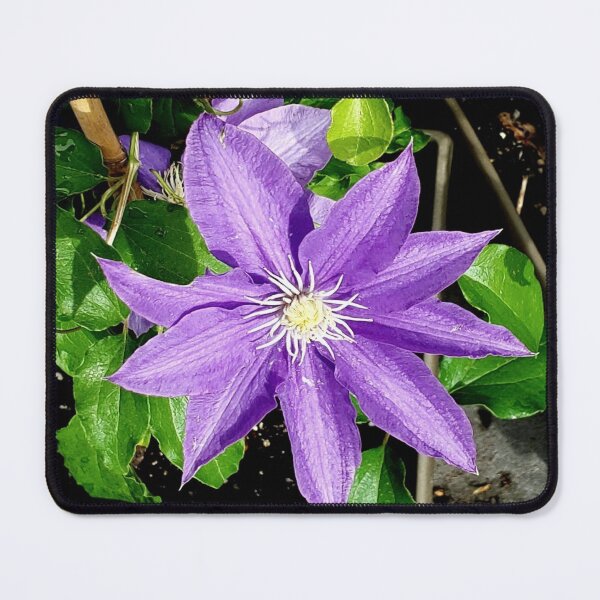Item preview, Big Purple Flower designed and sold by ChicknDoodlSoup.
