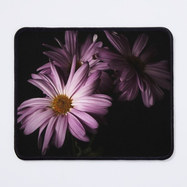 Item preview, Bathing In Light designed and sold by timdaytimages.