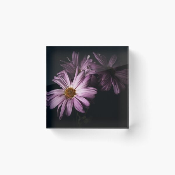 Item preview, Bathing In Light designed and sold by timdaytimages.