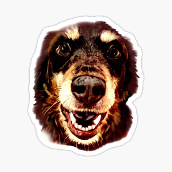 Aussie Smiles Sticker