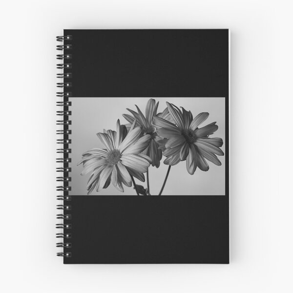 Item preview, Alcanzando la luz designed and sold by timdaytimages.