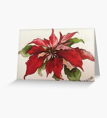Poinsettias Greeting Card
