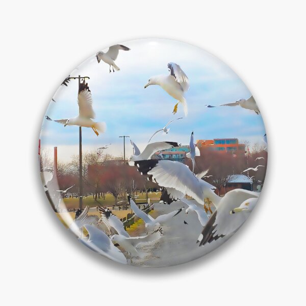 Item preview, Got lucky with the gulls! designed and sold by rickbrodey.