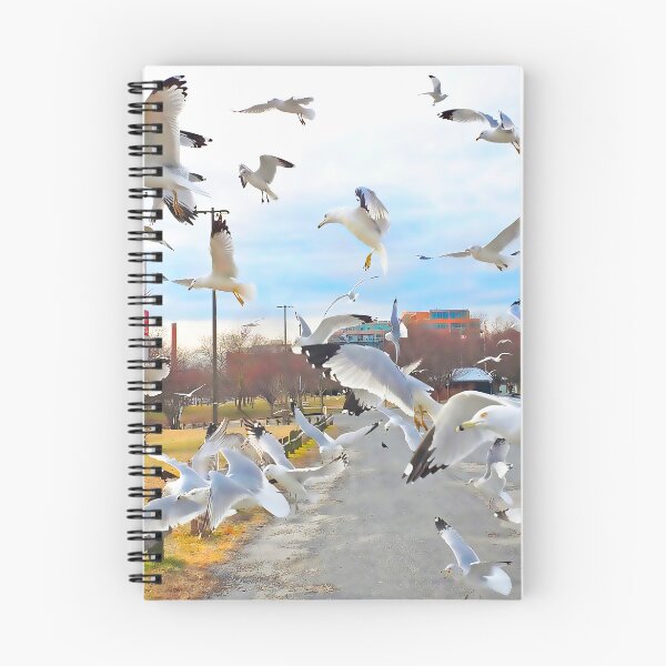Item preview, Got lucky with the gulls! designed and sold by rickbrodey.