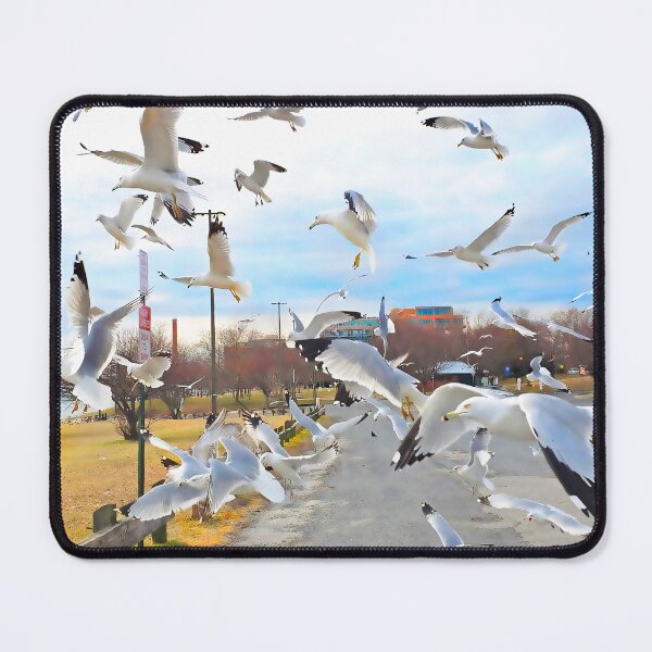 Item preview, Got lucky with the gulls! designed and sold by rickbrodey.
