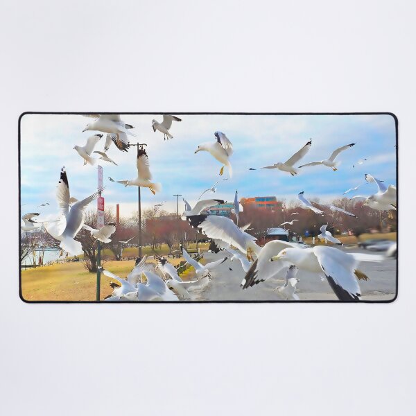 Item preview, Got lucky with the gulls! designed and sold by rickbrodey.