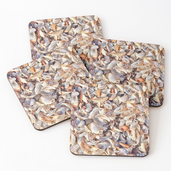 Item preview, Shell Collection designed and sold by rmyerphoto.