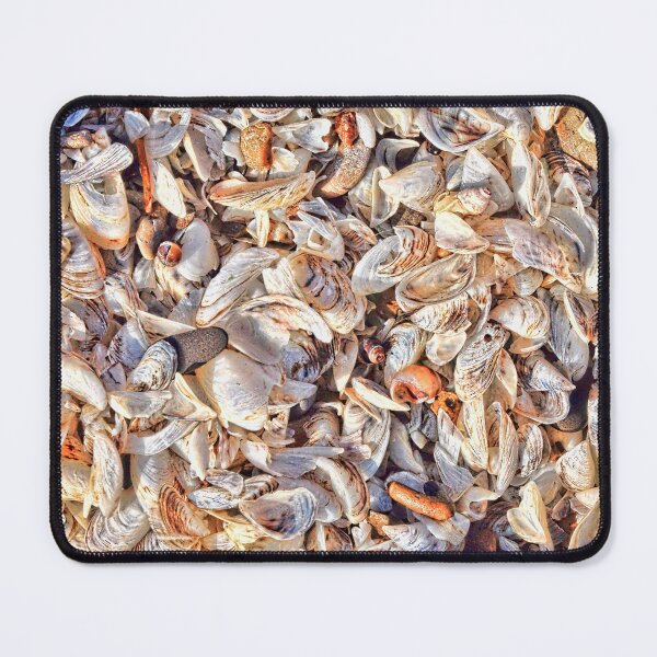 Item preview, Shell Collection designed and sold by rmyerphoto.