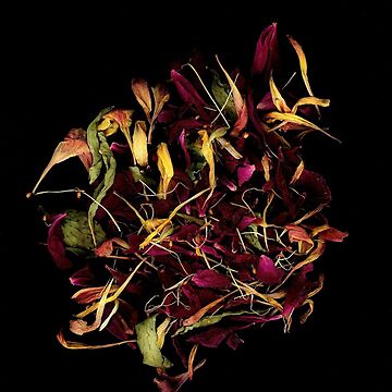 Artwork thumbnail, Jester Petals Dark Floral by LindasPhotoArt