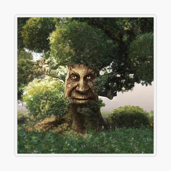 wise mystical tree - 1' Sticker