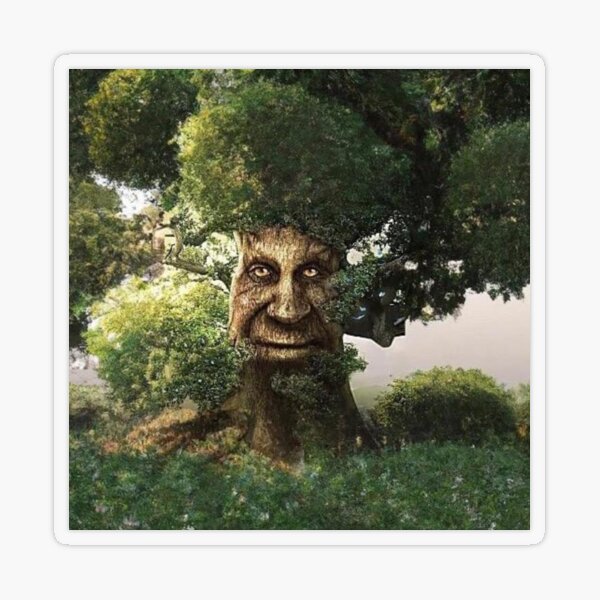 wise mystical tree - 1' Sticker