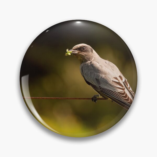 Item preview, Black-faced Cuckooshrike designed and sold by SusanAdey.
