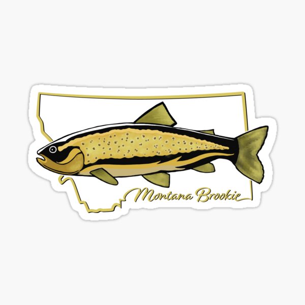  Montana Fly Fishing Sticker Vinyl Decal Sticker MT Fish Lure  Tackle Flies Made in USA : Sports & Outdoors