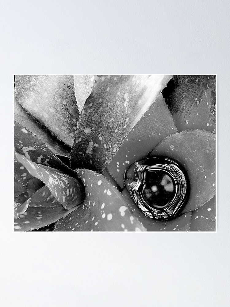 Thumbnail 1 of 3, Poster, One Eye designed and sold by dps7777.