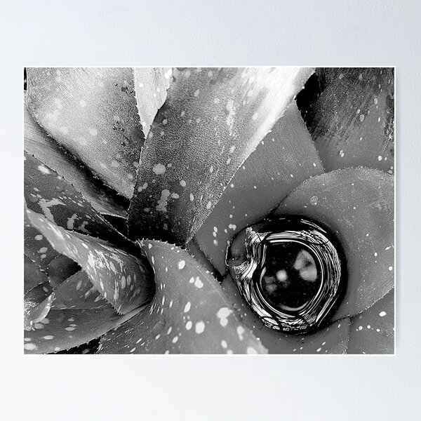 Item preview, One Eye designed and sold by dps7777.