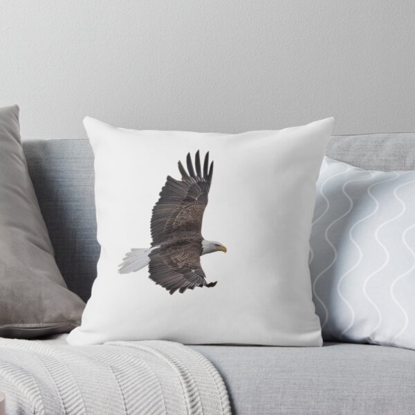 Item preview, Isolated Eagle-2 designed and sold by Thomasyoung.